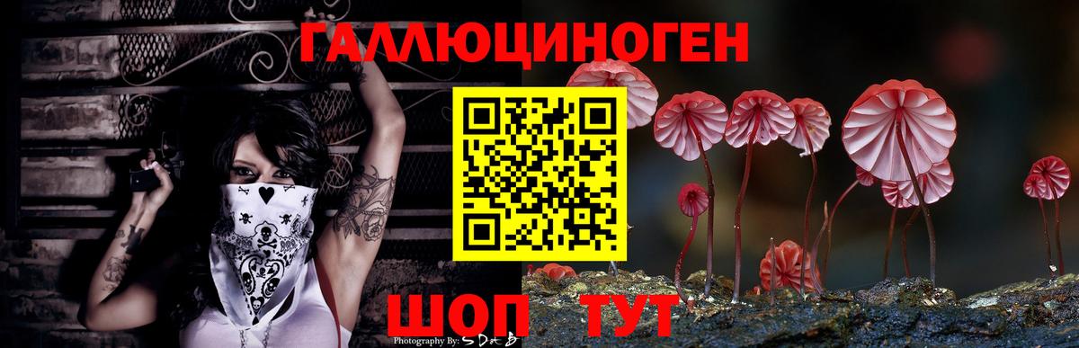 Галлюциногенные грибы мицелий  Вход с VPN  Новодвинск  Псилоцибиновые грибы Psilocybine cubensis 
